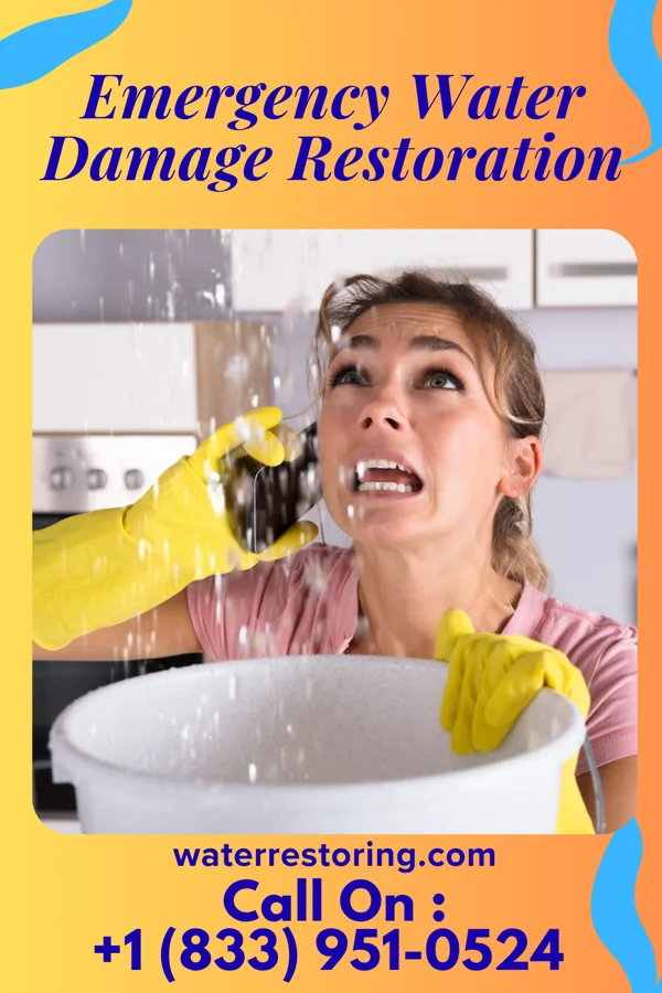 Emergency Water Damage Restoration in Kingston, NV